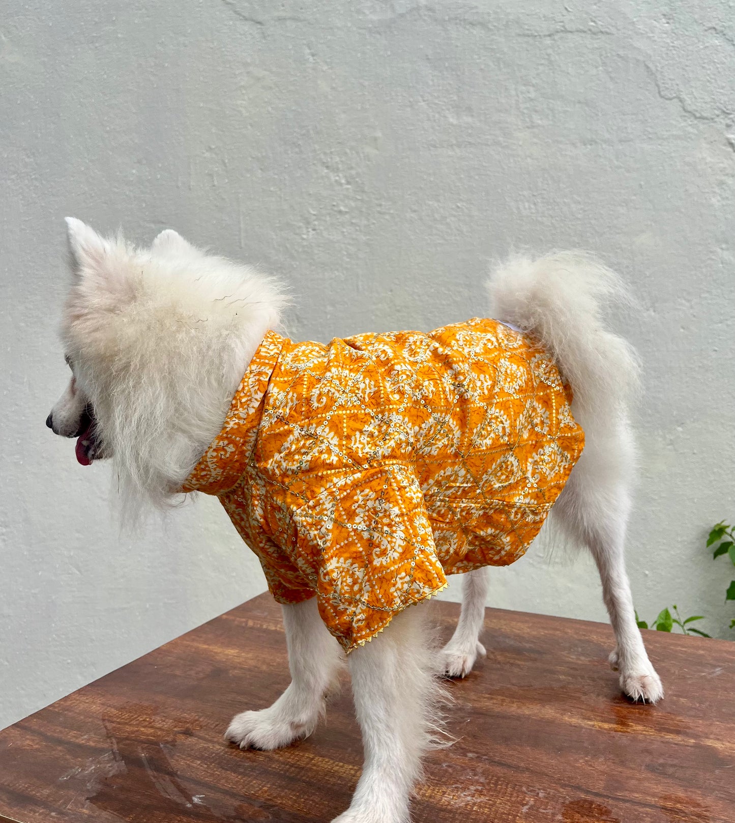 Yellow Sequins festive kurta for dogs and cats