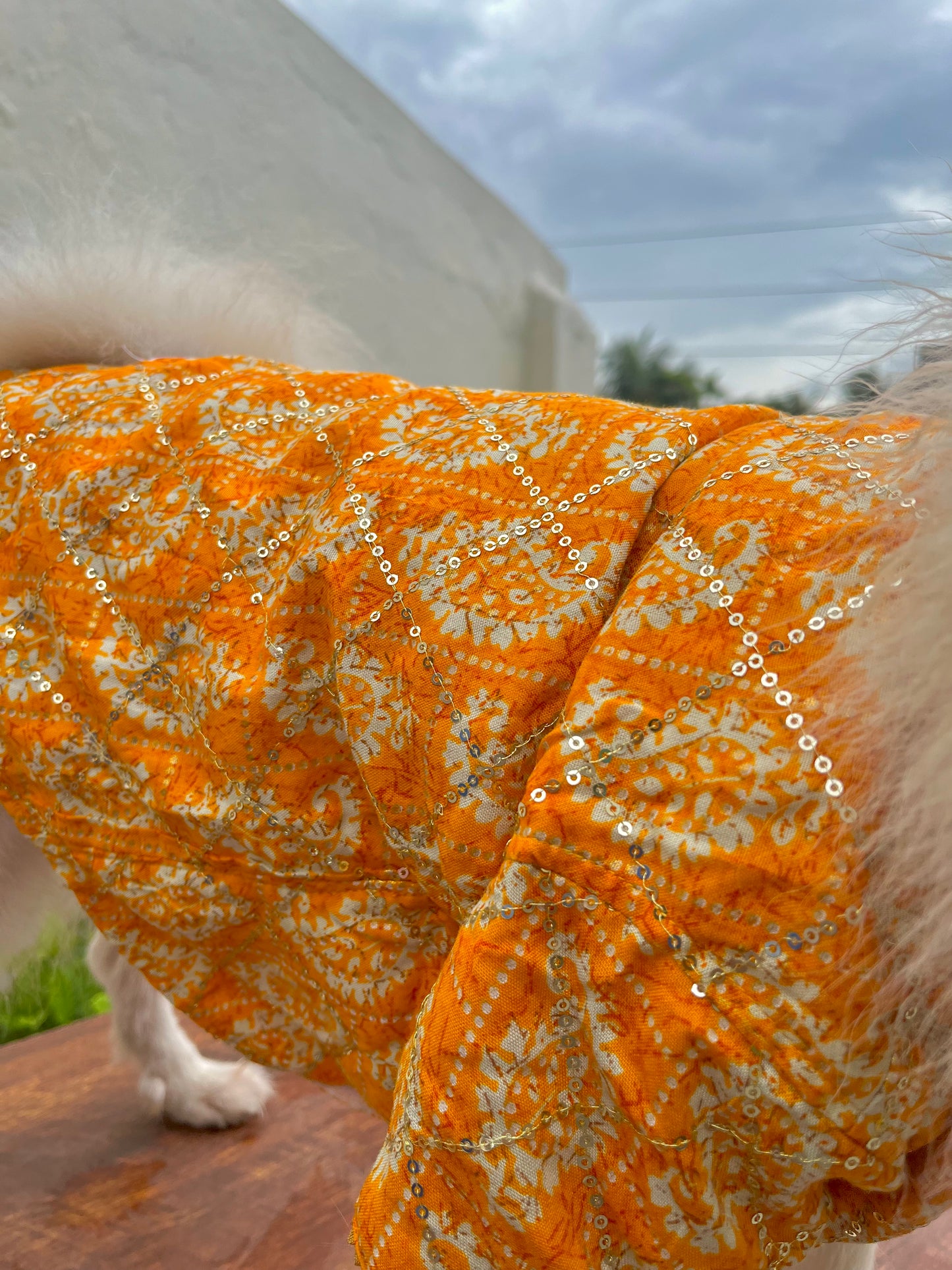 Yellow Sequins festive kurta for dogs and cats