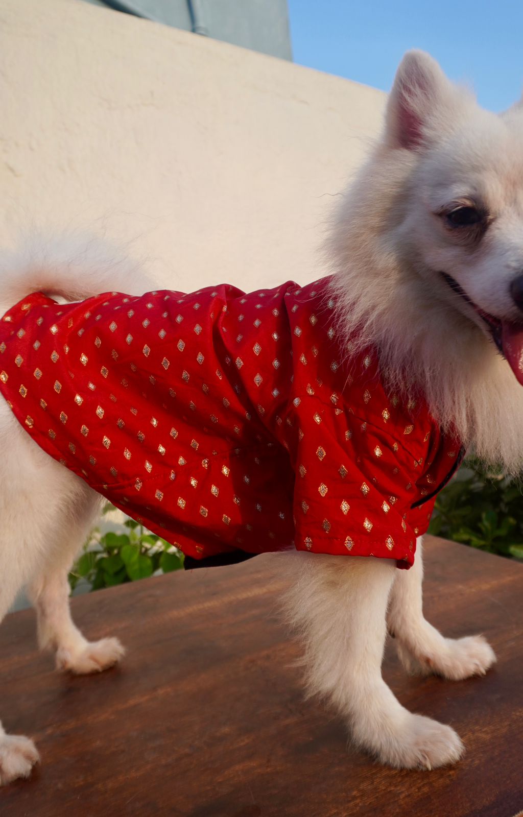 Red festive kurta for dogs and cats