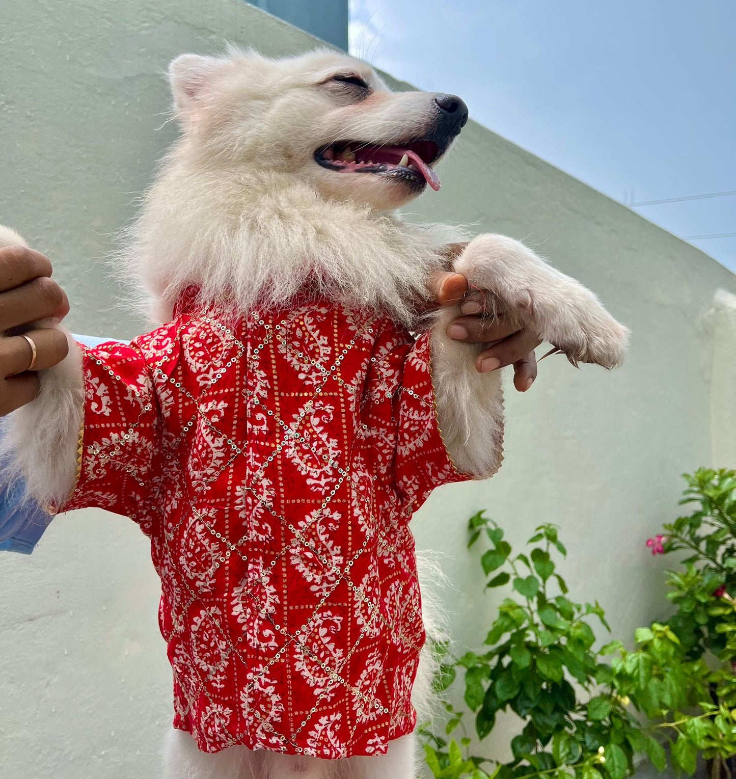 Red sequins rayon festive kurta for dogs and cats