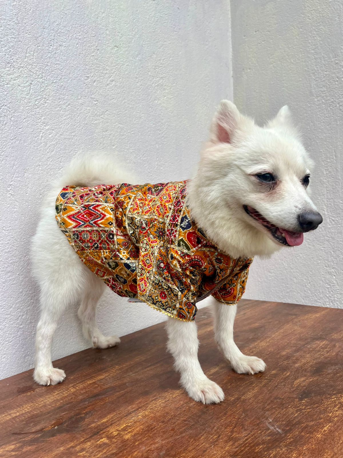 Yellow & multicolour sequins kurta for pets
