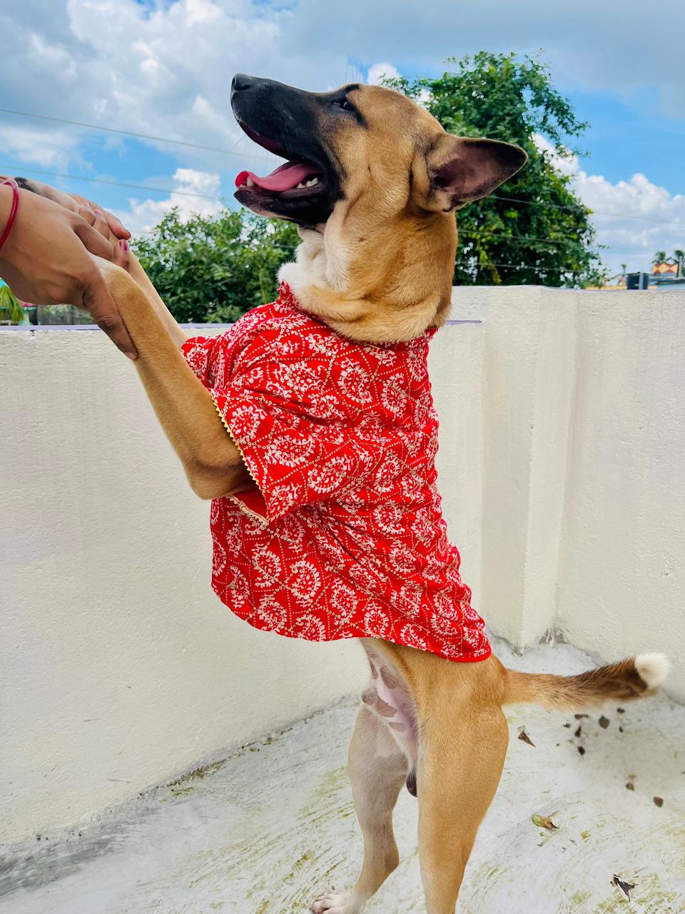 Red sequins rayon festive kurta for dogs and cats