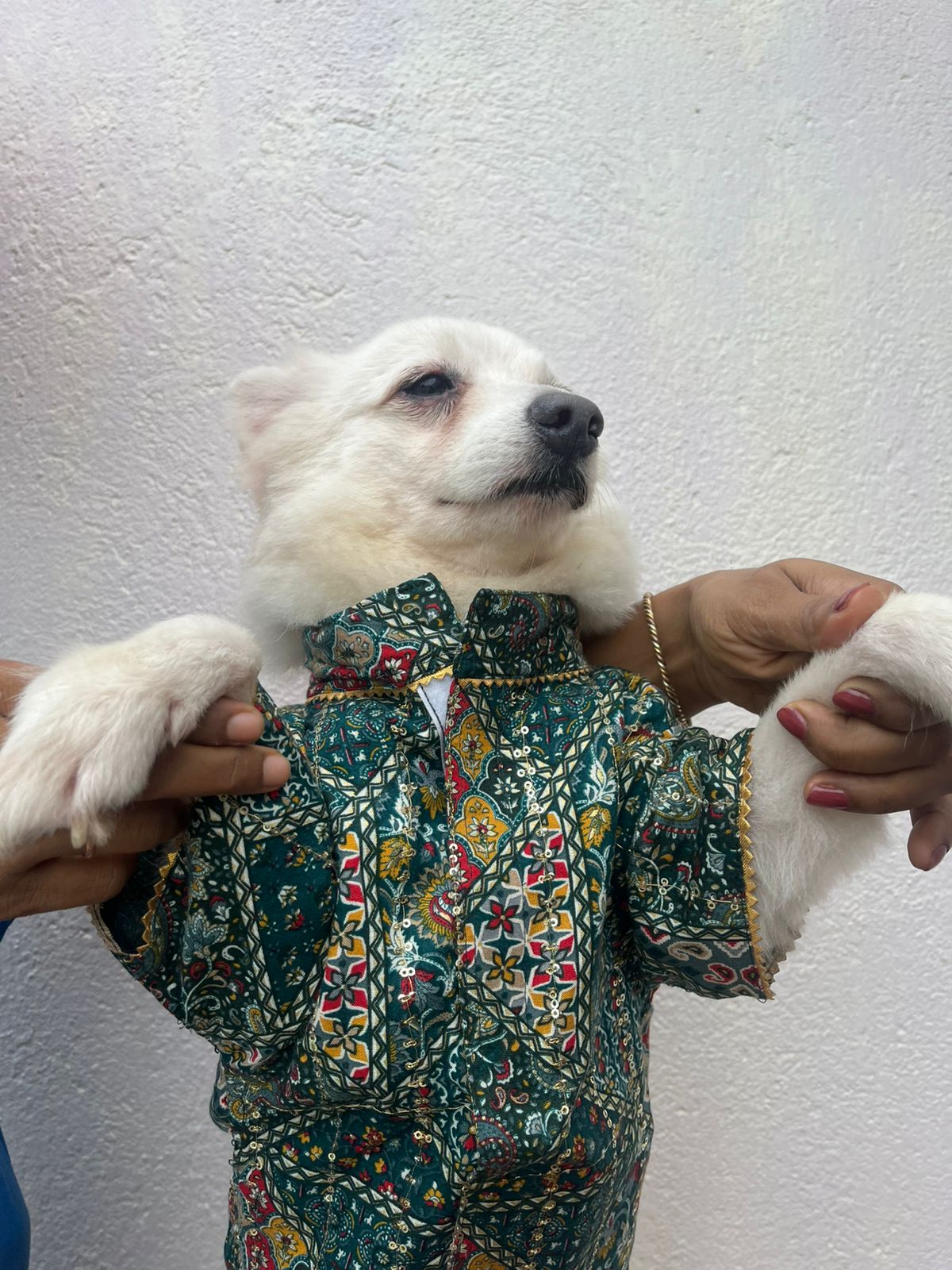 Bottle Green rayon sequins kurta for pets