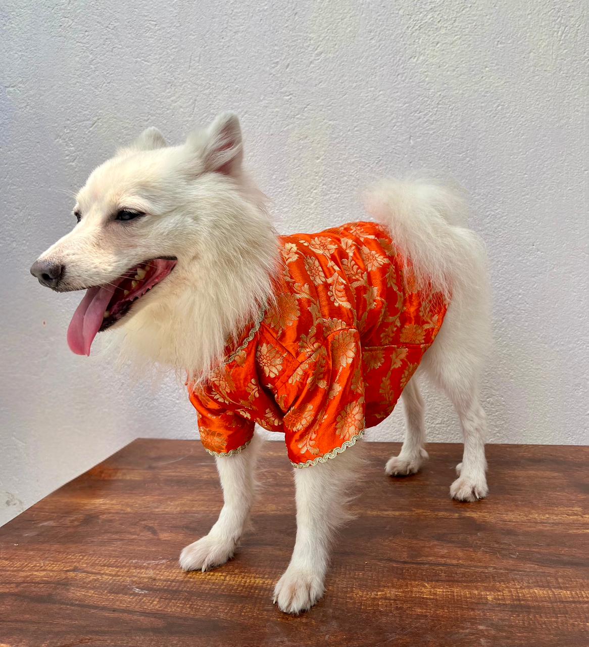 Banarasee Orange Kurta for Dogs & Cats – With Gold Lace & Soft Cotton Lining