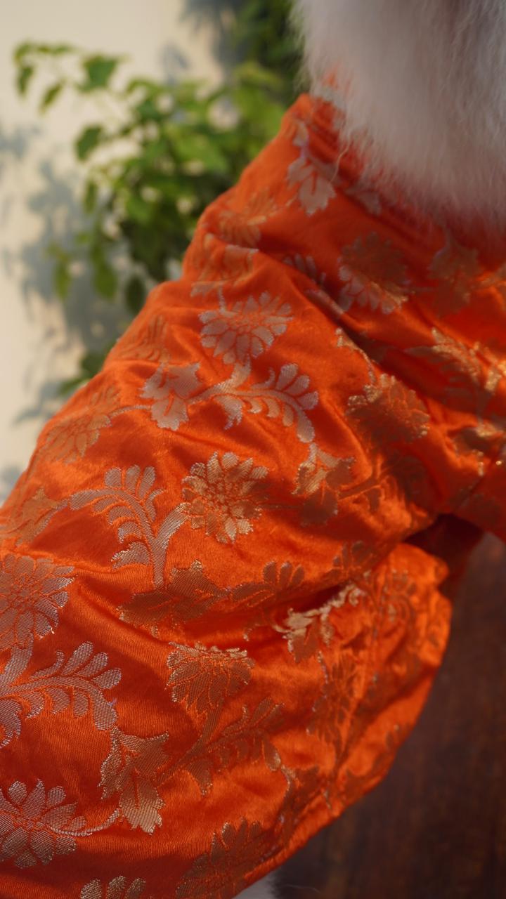 Banarasee Orange Kurta for Dogs & Cats – With Gold Lace & Soft Cotton Lining