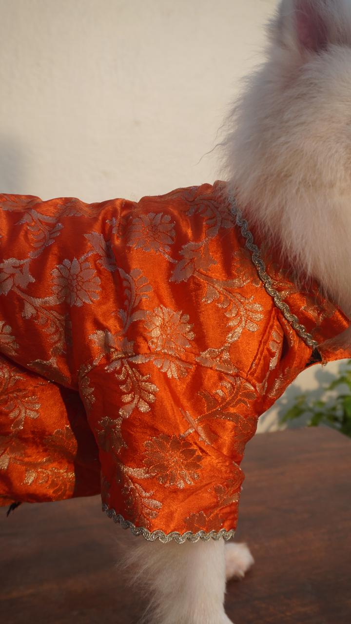 Banarasee Orange Kurta for Dogs & Cats – With Gold Lace & Soft Cotton Lining