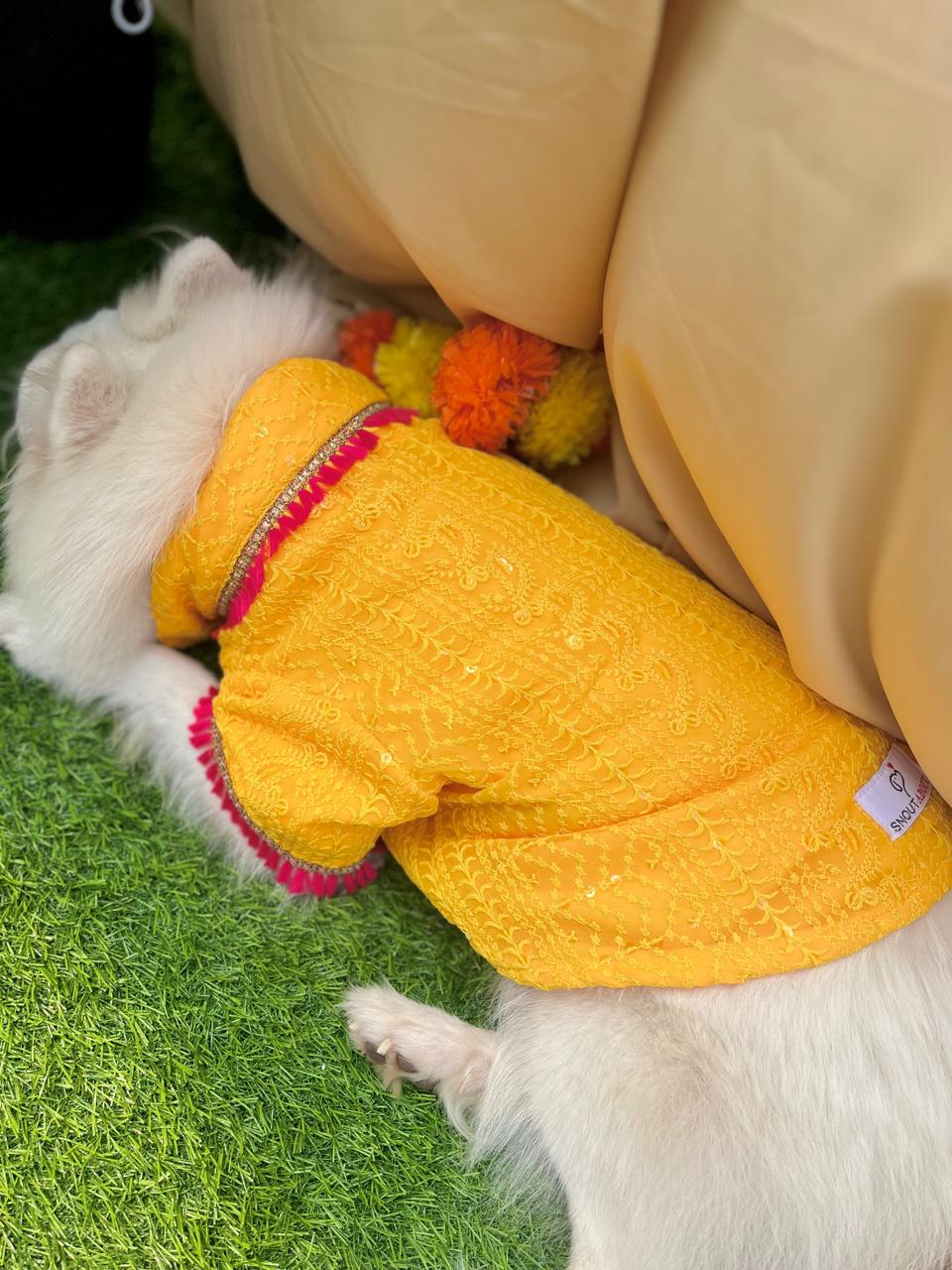 Yellow Chikankari Kurta with Fuchsia Tassels For dogs & cats