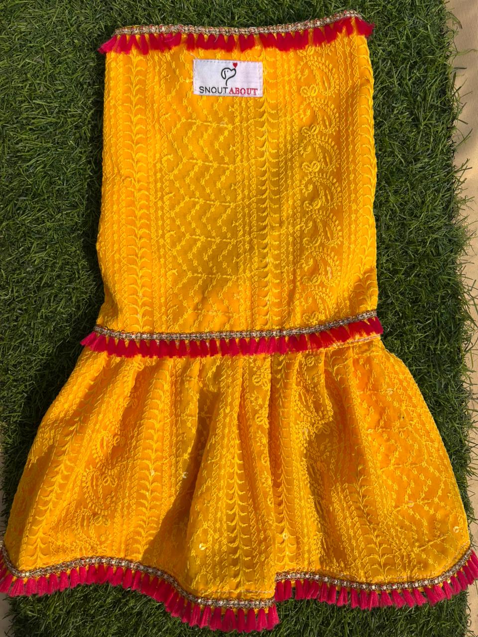 Yellow chikankari dress with fuschia tassels for dogs and cats