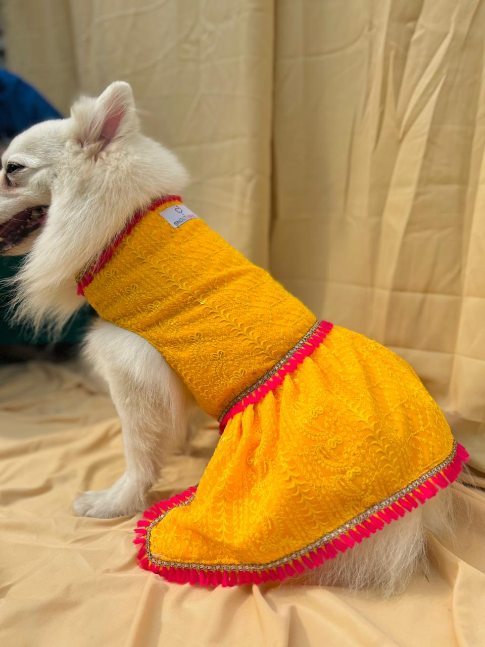 Yellow chikankari dress with fuschia tassels for dogs and cats
