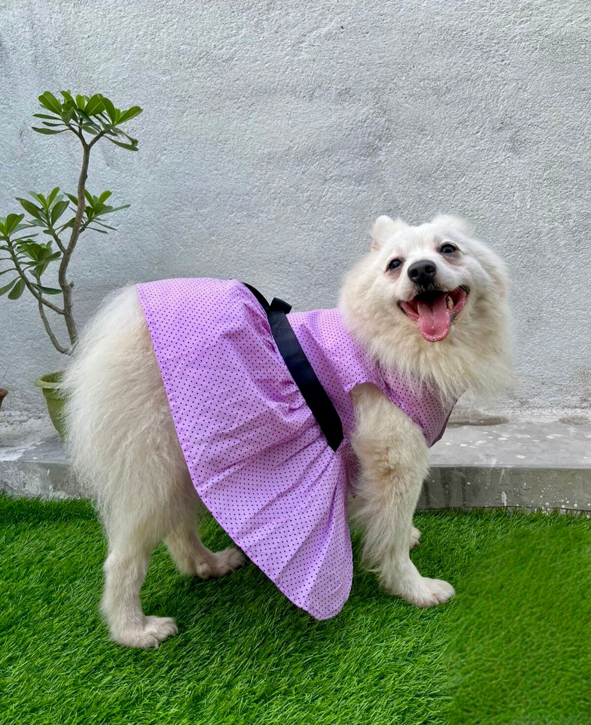 Lavender Polka Dot with black Bow Dress