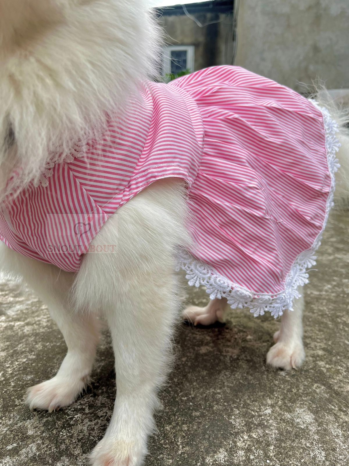 Pawfectly pink stripe lace dress
