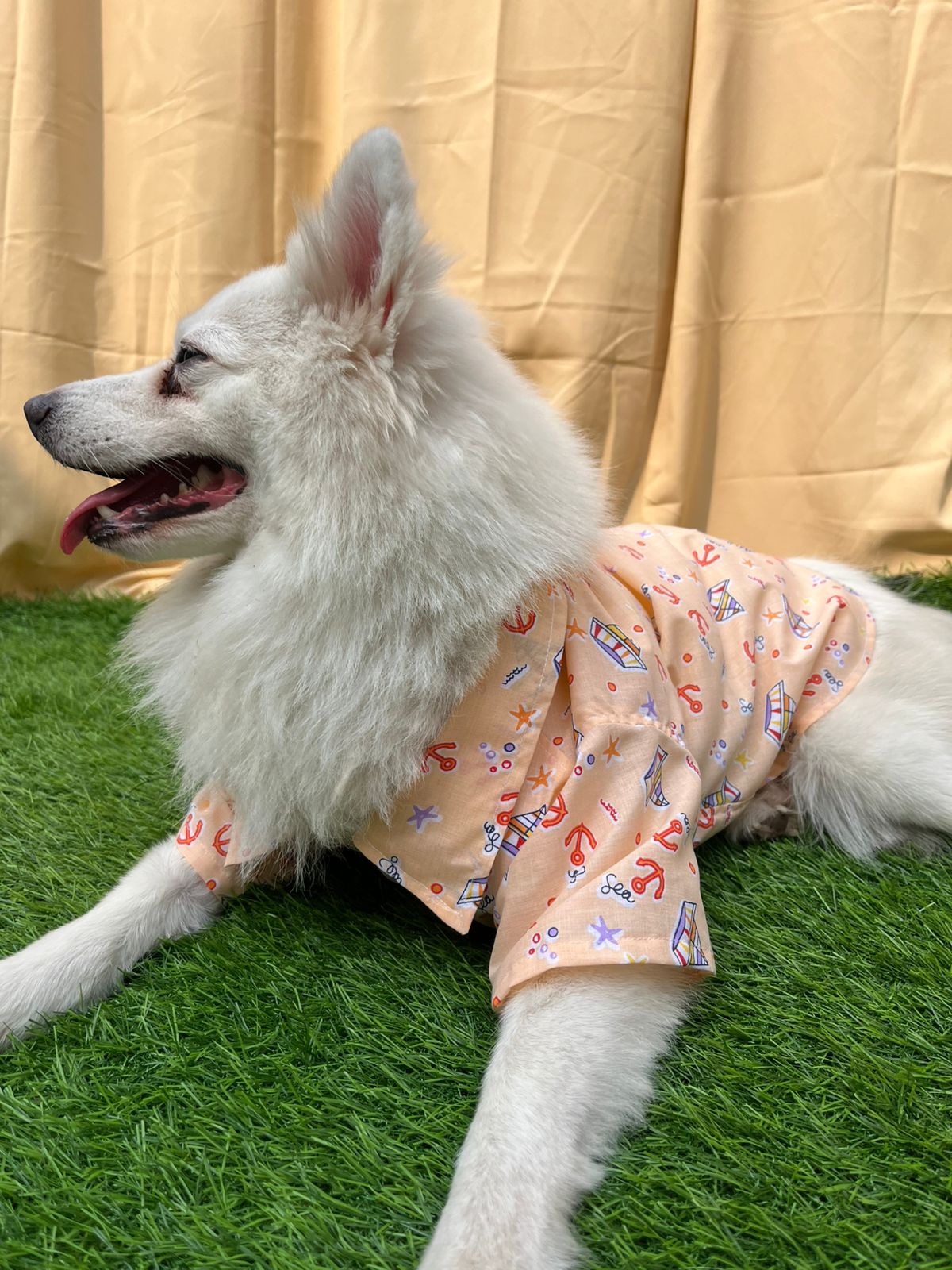 Ship Printed Peach Cotton Casual Shirt for Dogs & Cats