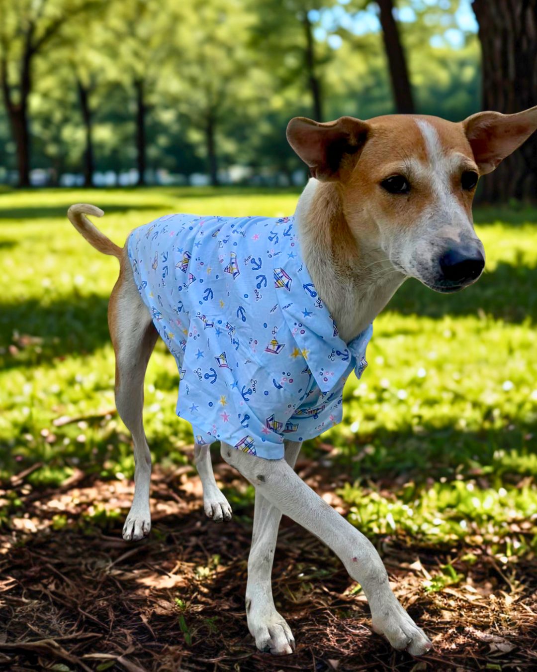 Ship Printed Blue Cotton Casual Shirt for Dogs & cats