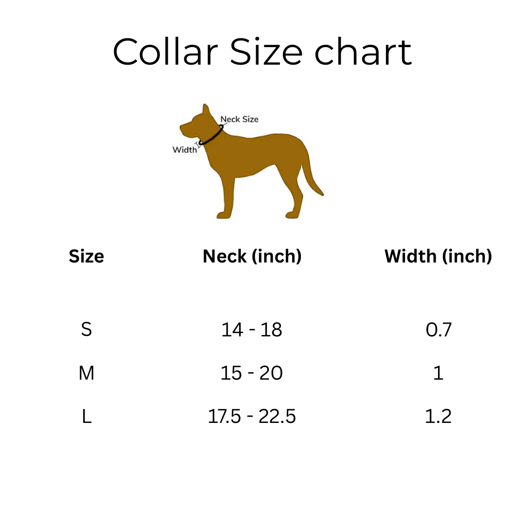 Chevron print collar & leash set