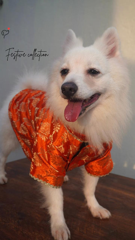 Banarasee Orange Kurta for Dogs & Cats – With Gold Lace & Soft Cotton Lining