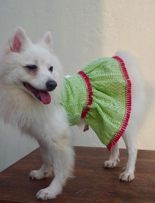 Green Chikankari Dress with Fuchsia Tassels for Dogs & Cats