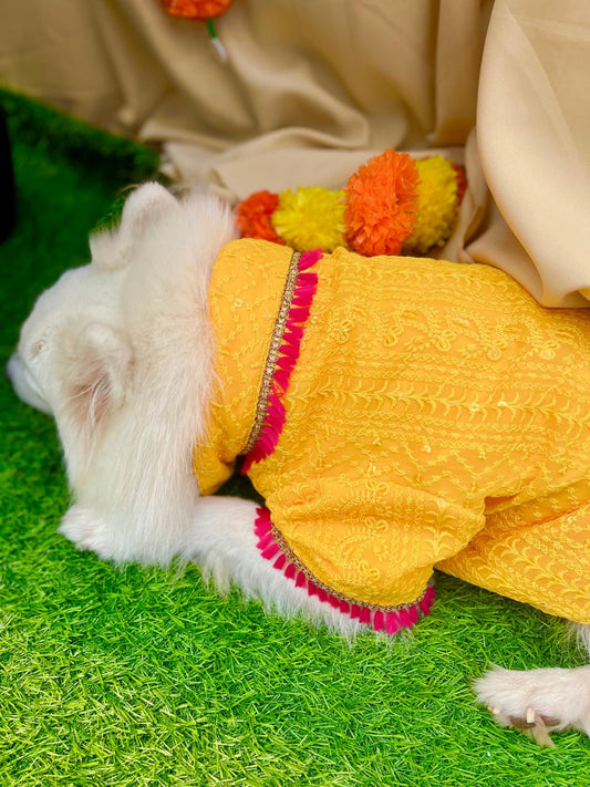 Yellow Chikankari Kurta with Fuchsia Tassels For dogs & cats