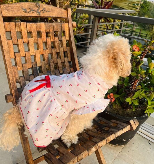 Frilly Cherry Printed Pet Dress with Red Bow