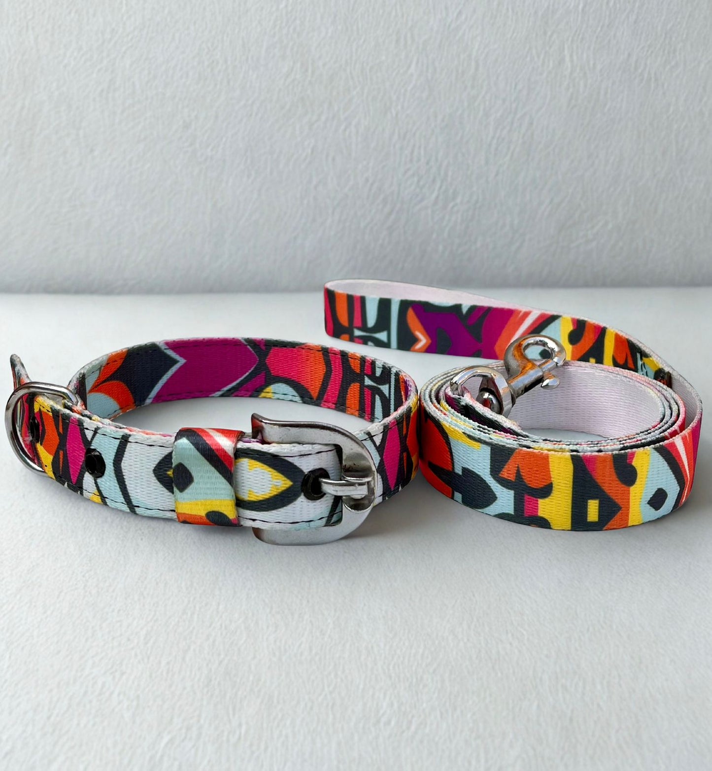 Abstract print collar and leash set