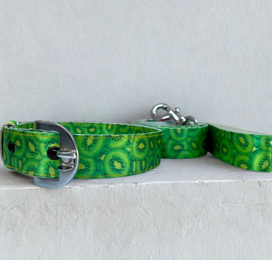 Kiwi pop collar & leash set