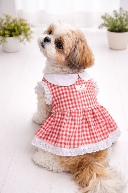 Red gingham dress for pets