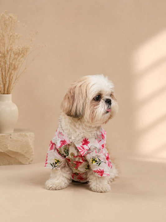 Tropical print shirts for pets