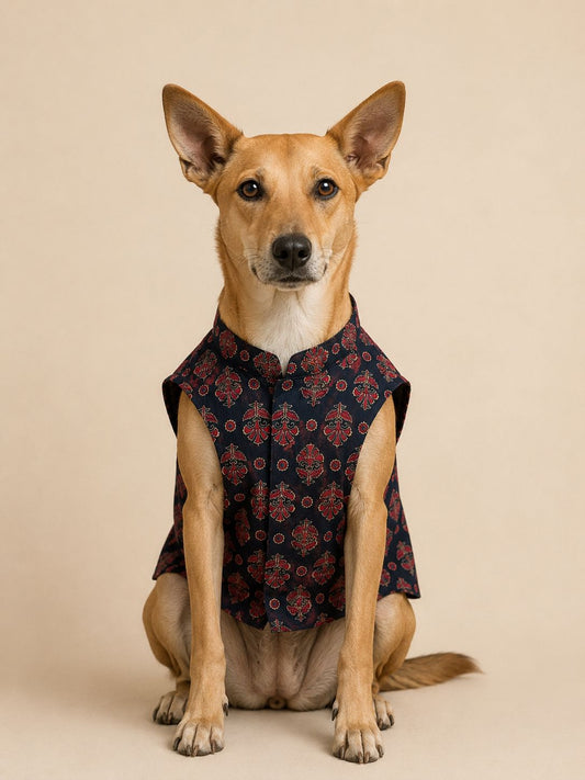 Navy blue ethnic kurta for pets