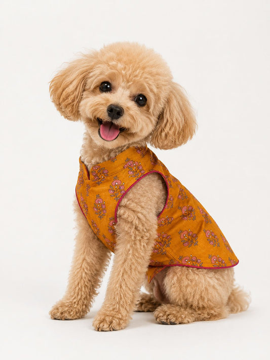 Yellow cotton ethnic kurta for pets
