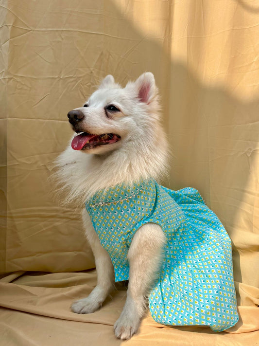 Blue Printed Cotton Dog Dress with Silver Lace Trim