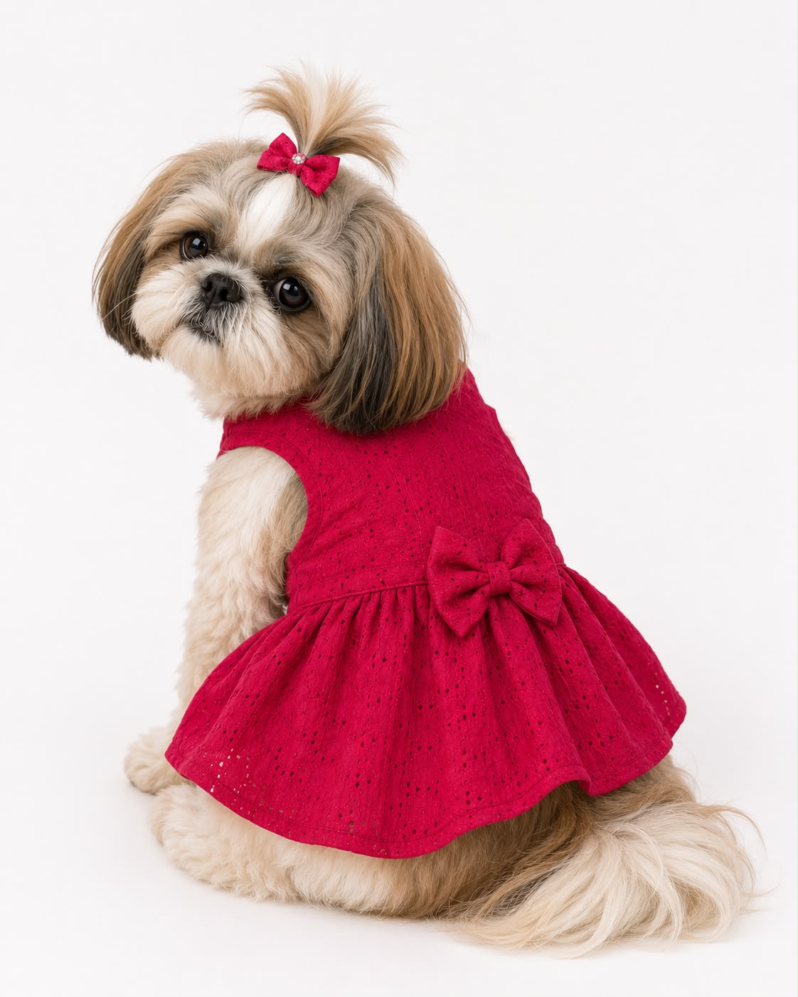 Fuschia schifilli dress for dogs & cats