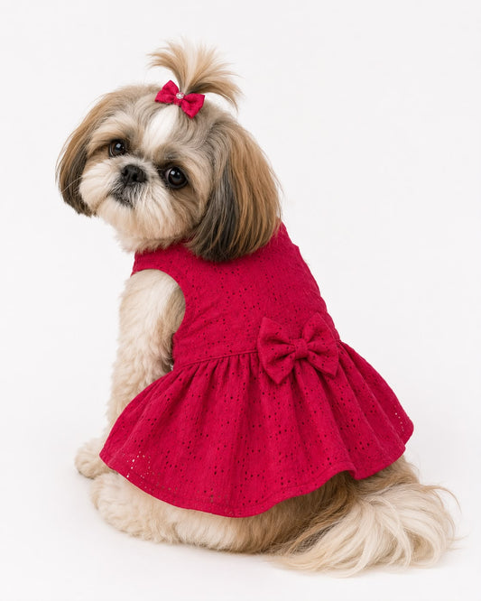 Fuschia schifilli dress for dogs & cats