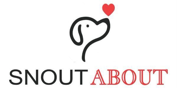 Snoutabout