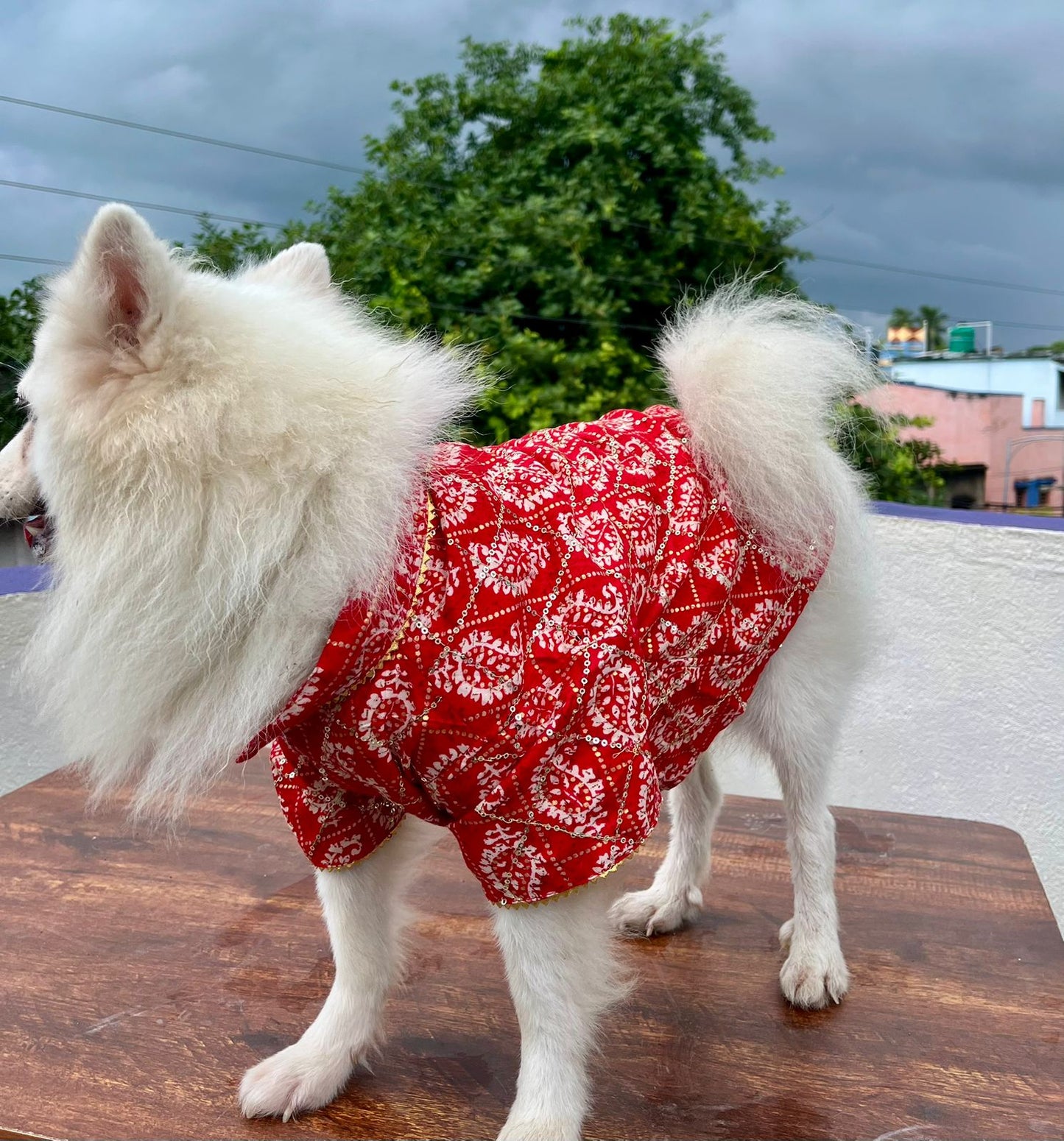 Red sequins rayon festive kurta for dogs and cats