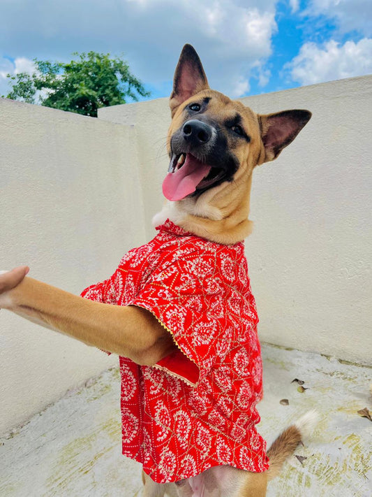 Red sequins rayon festive kurta for dogs and cats