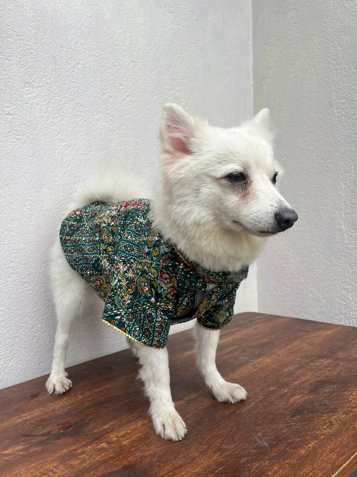 Bottle Green rayon sequins kurta for pets