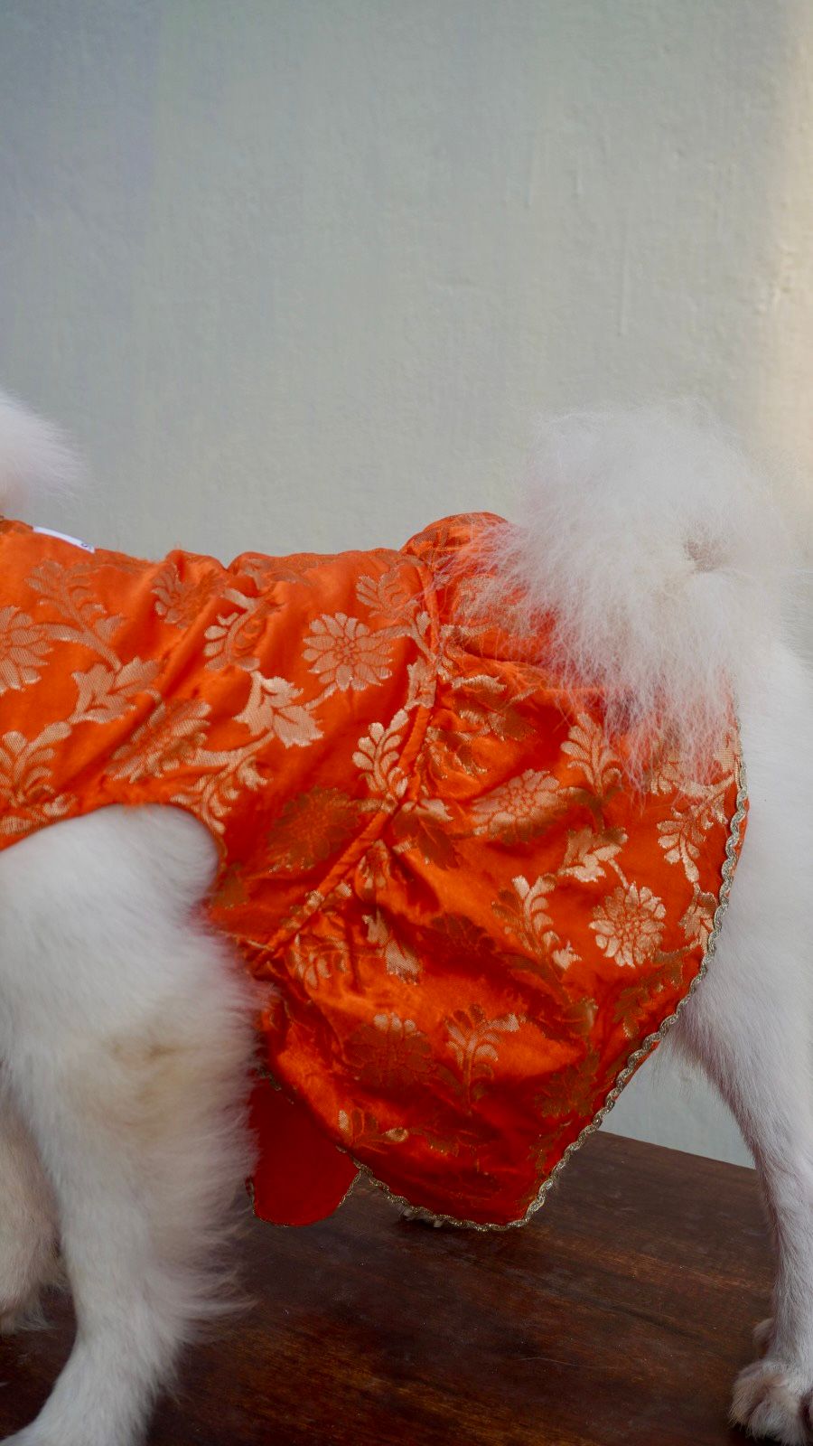 Orange Banarasi Dog Dress with Gold Lace Detailing