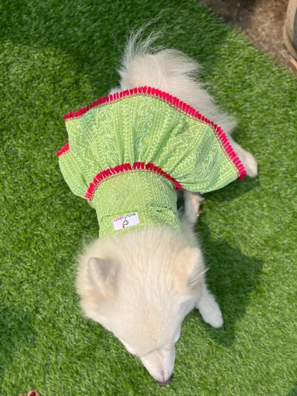Green Chikankari Dress with Fuchsia Tassels for Dogs & Cats
