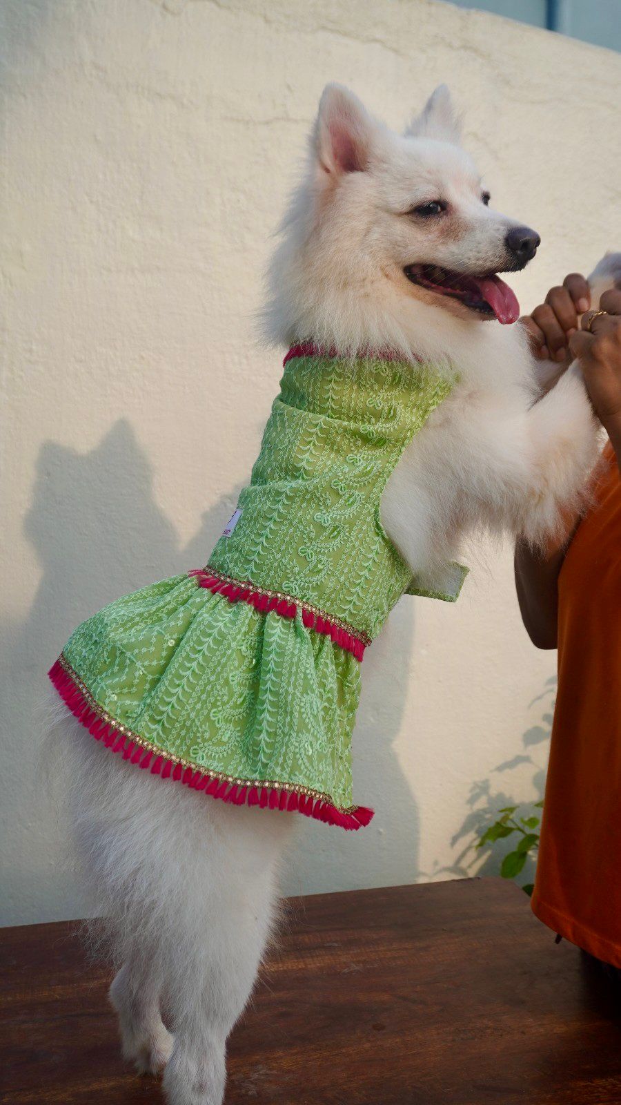 Green Chikankari Dress with Fuchsia Tassels for Dogs & Cats
