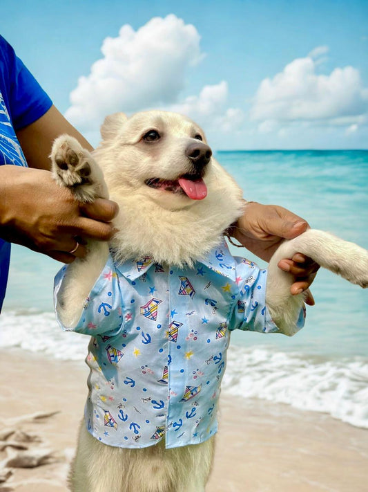 Ship Printed Blue Cotton Casual Shirt for Dogs & cats