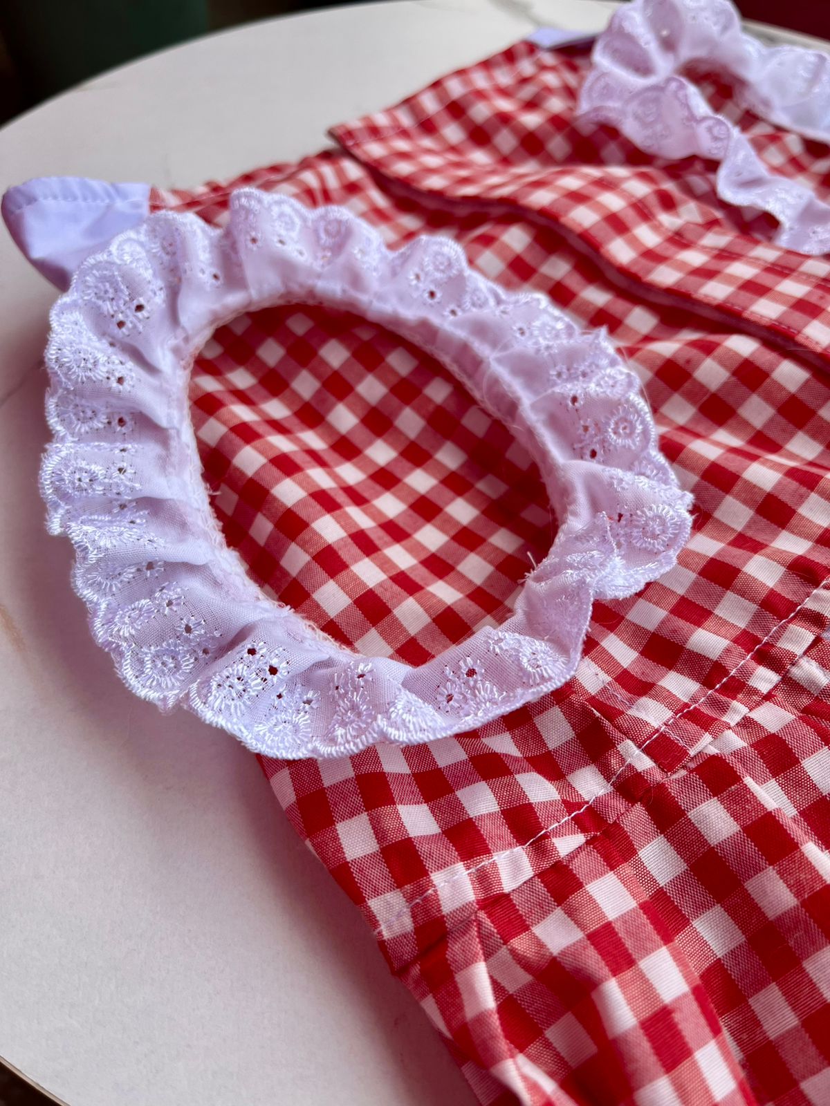 Red gingham dress for pets