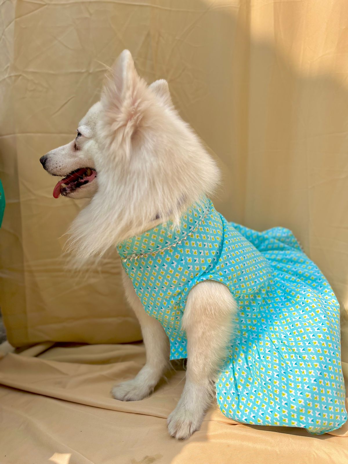 Blue Printed Cotton Dog Dress with Silver Lace Trim