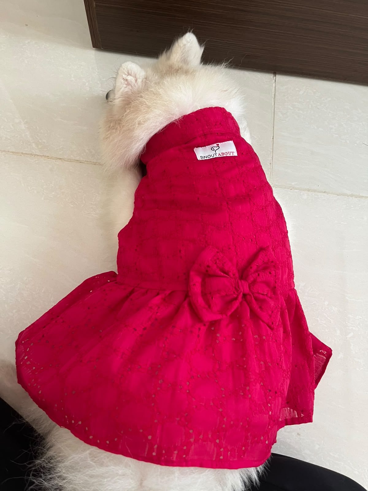 Fuschia schifilli dress for dogs & cats